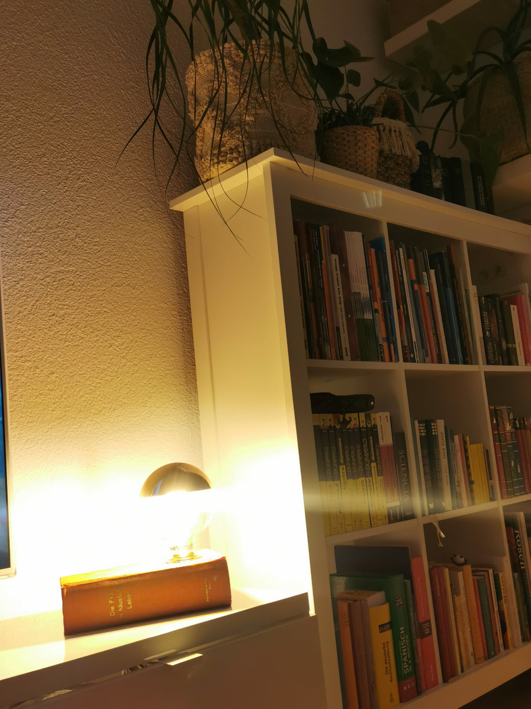 Upcycling-Buchlampe – ein einzigartiges Lichtobjekt für Buchliebhaber